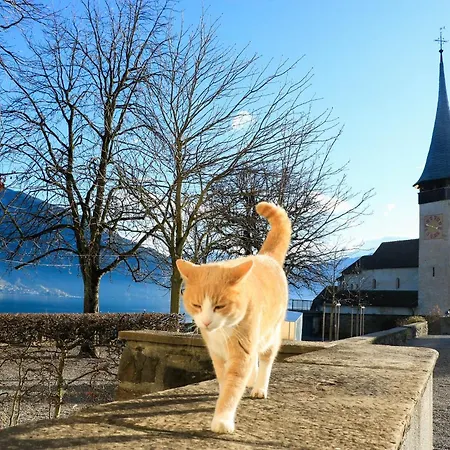 Moench In See- Und Bergnaehe, Modern, Mit Balkon, 4 Gaeste * Spiez