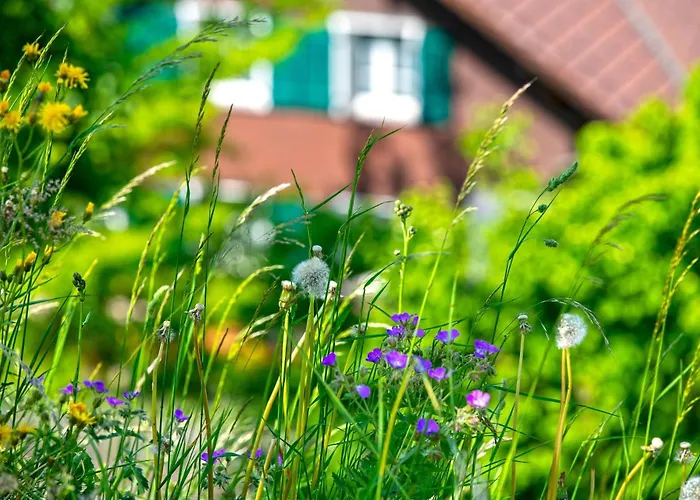 Appartement Moench In See- Und Bergnaehe, Modern, Mit Balkon, 4 Gaeste *