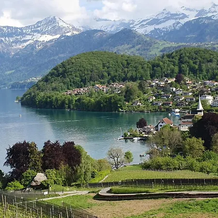 Apartment Moench In See- Und Bergnaehe, Modern, Mit Balkon, 4 Gaeste Spiez