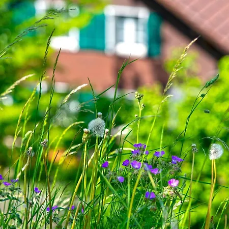 Apartament Moench In See- Und Bergnaehe, Modern, Mit Balkon, 4 Gaeste *