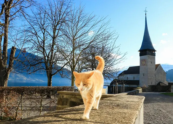 Moench In See- Und Bergnaehe, Modern, Mit Balkon, 4 Gaeste * Spiez